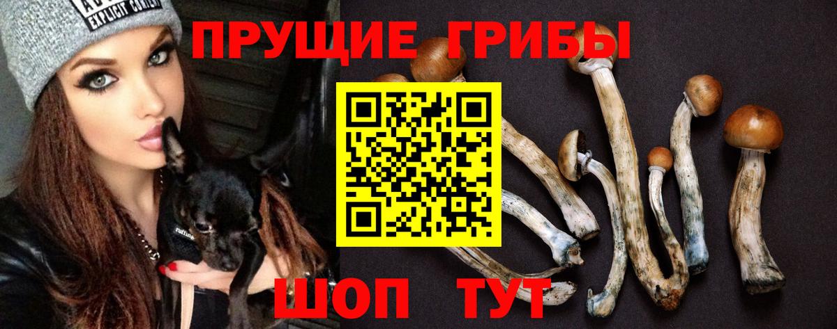 Псилоцибиновые грибы прущие грибы Саров