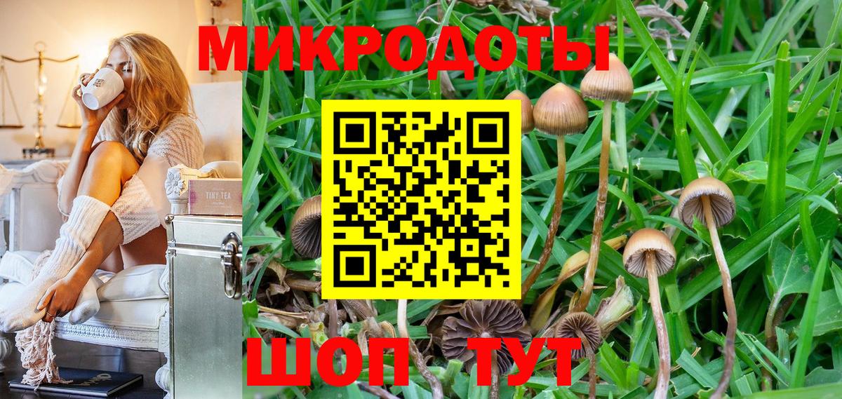 Галлюциногенные грибы Psilocybe  Галлюциногенные грибы Psilocybe  Саров  Вход с VPN 